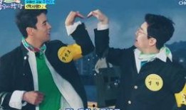 mr trot在线观看,轻松欢快的音乐之旅